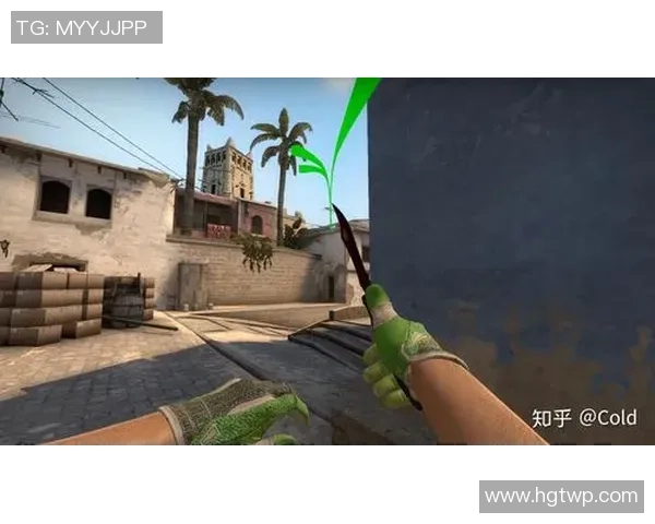 从零开始掌握CSGO战术技巧全解析助你成为游戏高手